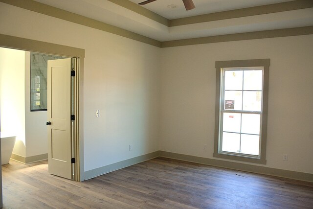 entryway with plenty of natural light