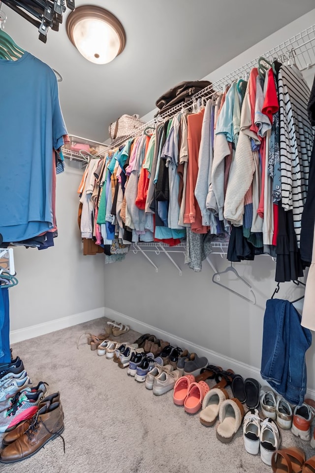 2027 S County Road 9, Newton, AL 36352 - spacious closet featuring carpet