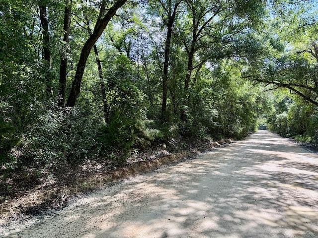 103ACRES Westmont St, Geneva, AL 36340