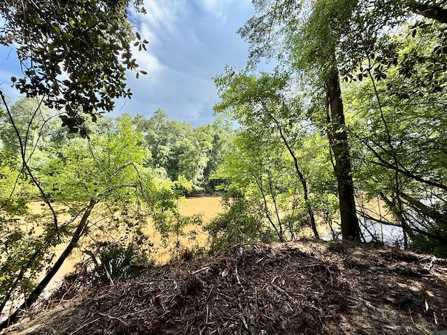 103ACRES Westmont St, Geneva, AL 36340