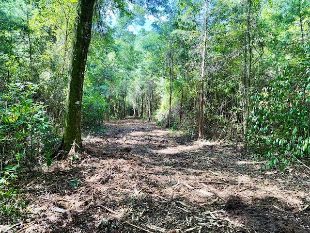 103ACRES Westmont St, Geneva, AL 36340