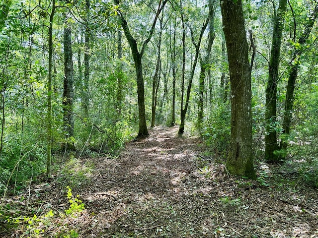 103ACRES Westmont St, Geneva, AL 36340