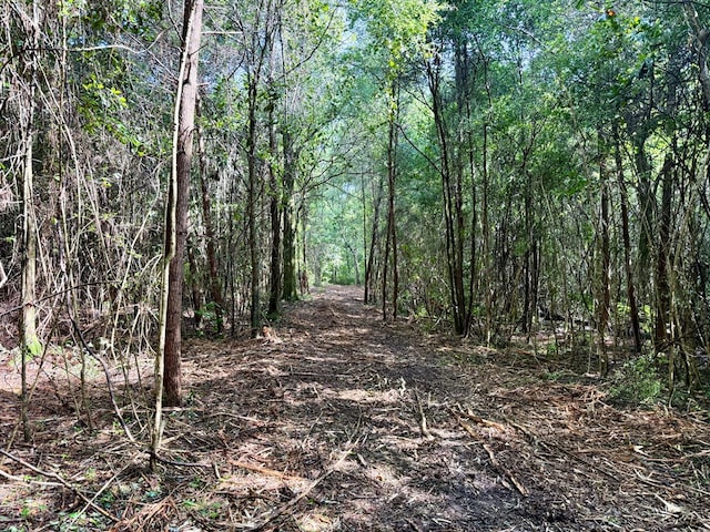 103ACRES Westmont St, Geneva, AL 36340