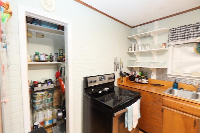 kitchen featuring crown molding, sink, and black electric range