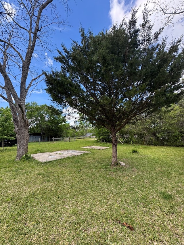 view of yard with a patio