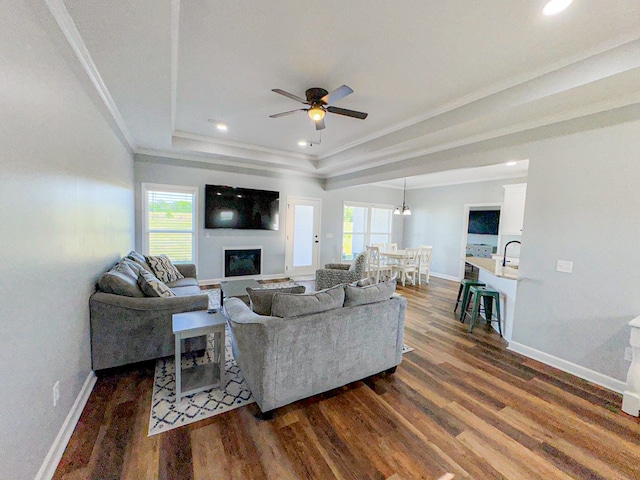 living room with a tray ceiling, plenty of natural light, and dark wood finished floors