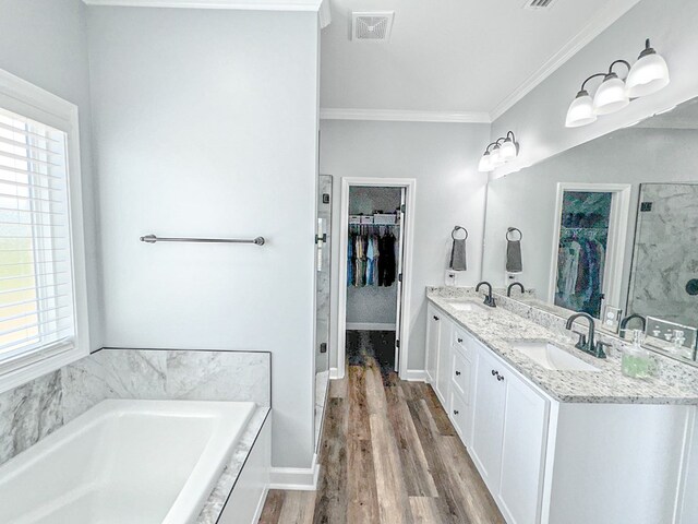 bathroom featuring a sink, ornamental molding, a spacious closet, and wood finished floors