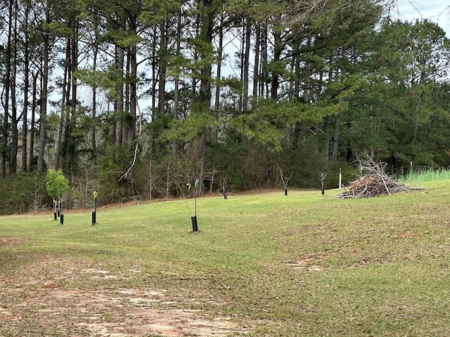 view of home's community with a yard