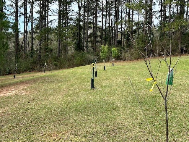 view of property's community with a lawn