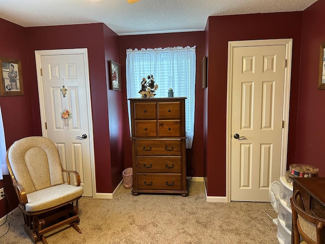 sitting room with a textured ceiling and light carpet