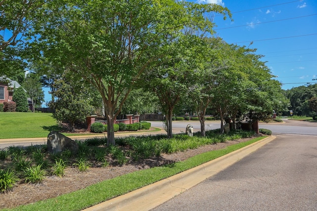 209 Wicklow Dr, Dothan, AL 36303 - photo 5