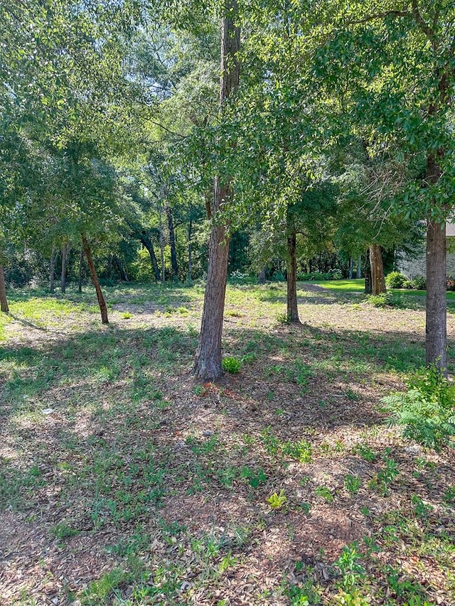 209 Wicklow Dr, Dothan, AL 36303 - photo 7