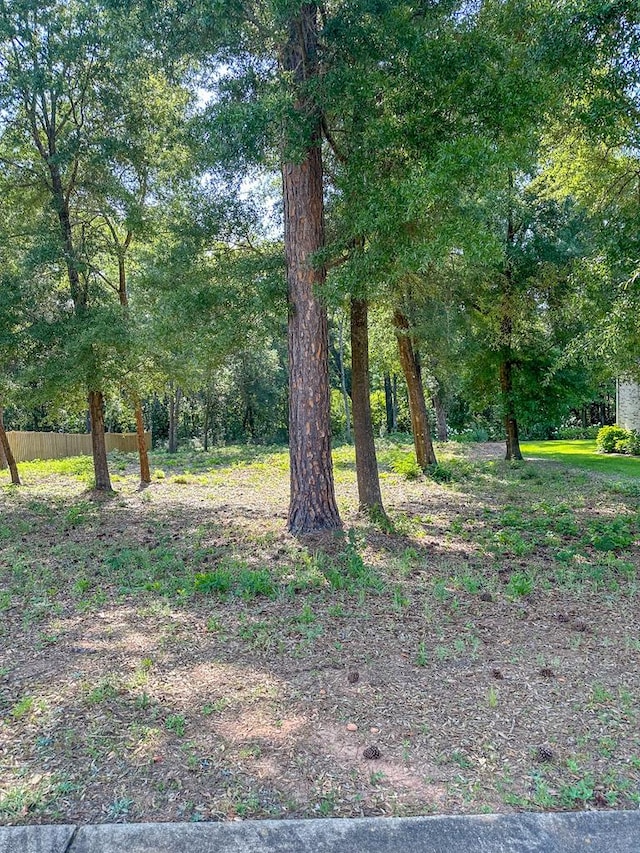 209 Wicklow Dr, Dothan, AL 36303 - photo 6