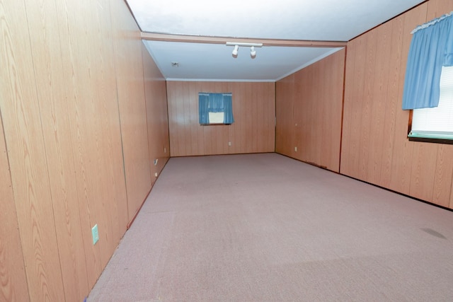 spare room with light colored carpet and wooden walls