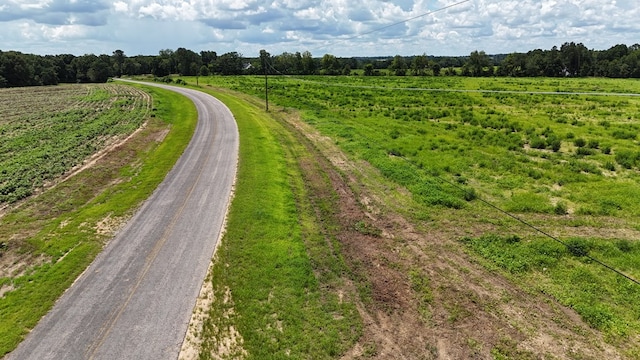 0-LOT1 County Road 17, Headland, AL 36345 - photo 4