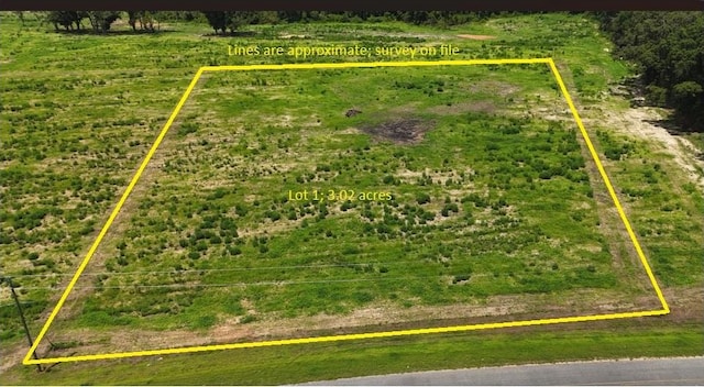 0-LOT1 County Road 17, Headland, AL 36345 - photo 1