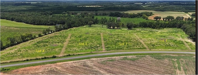 0-LOT1 County Road 17, Headland, AL 36345 - photo 5