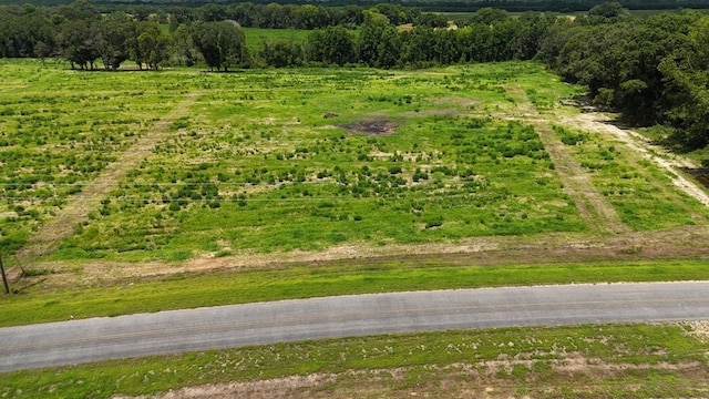 0-LOT1 County Road 17, Headland, AL 36345 - photo 2