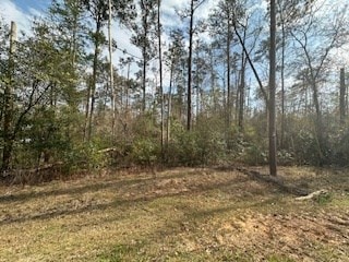 Listing photo 3 for 0 Woodland Dr, Abbeville AL 36310