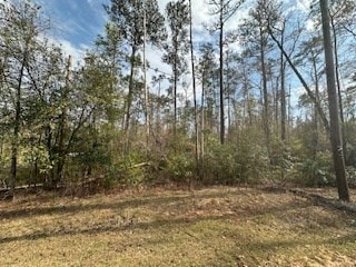 Listing photo 2 for 0 Woodland Dr, Abbeville AL 36310