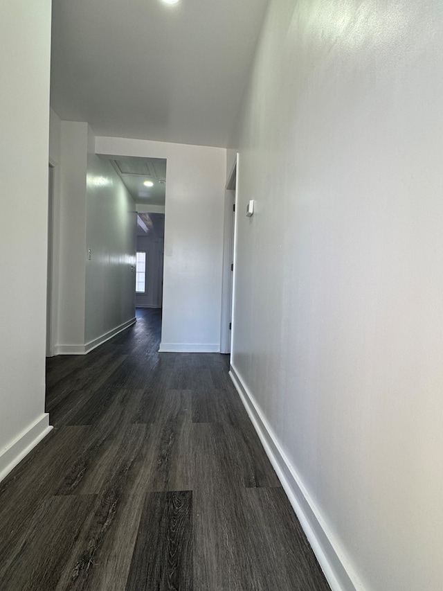 hallway featuring dark wood-type flooring