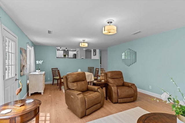 living room featuring wood-type flooring