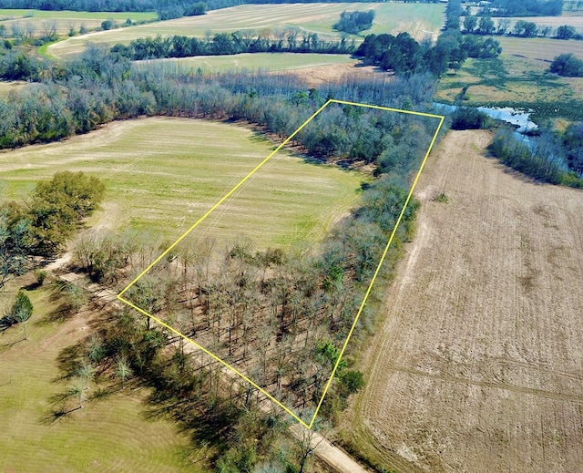 Listing photo 3 for 4.9ACRES Grady Garner Rd, Slocomb AL 36375