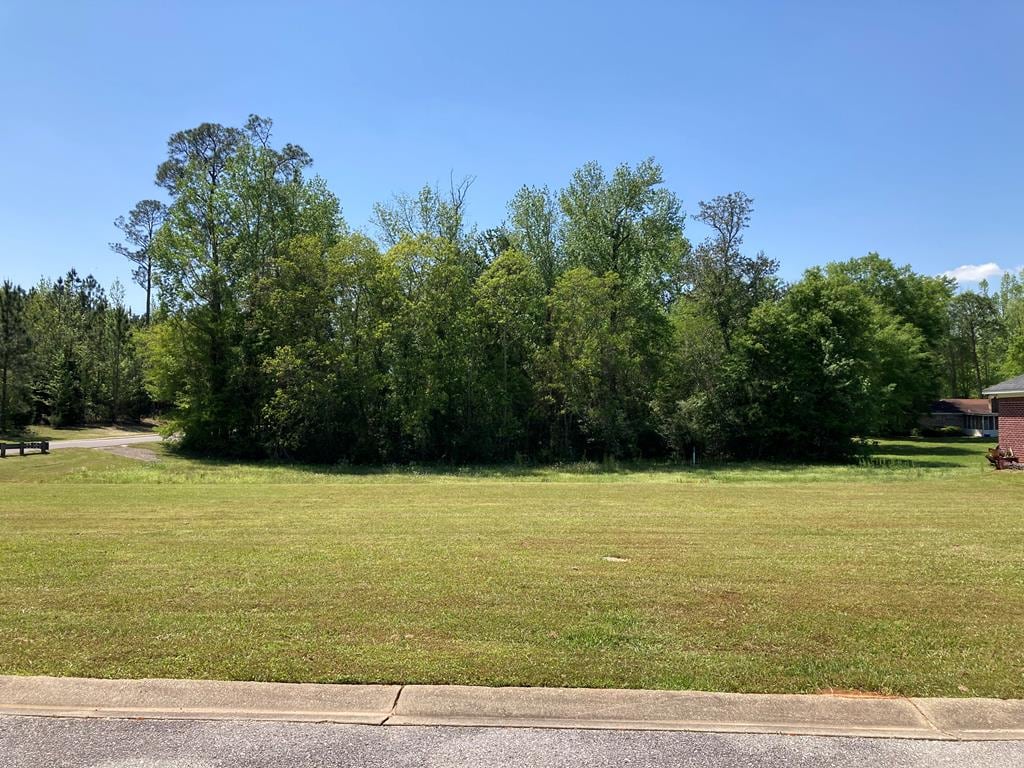 410 Gordon Ln, Brewton, AL 36426 - photo 1