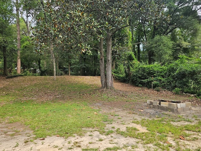 276 Fairview, Ozark, AL 36360 - view of yard