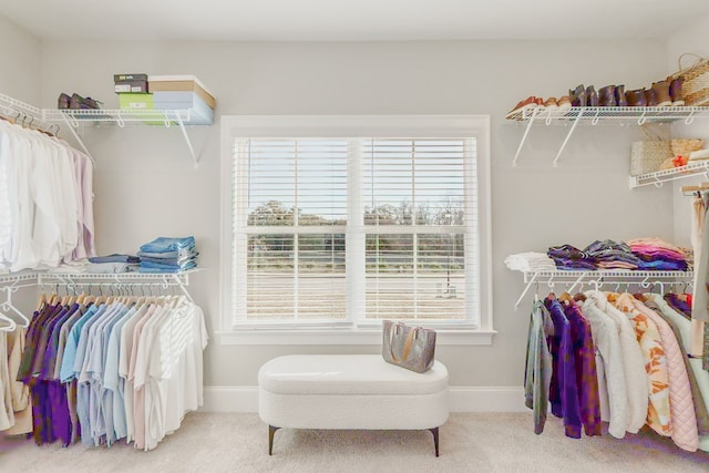 walk in closet with carpet