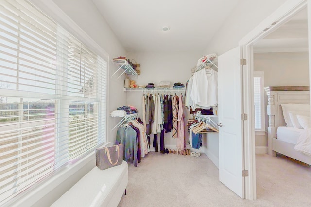 walk in closet featuring light colored carpet