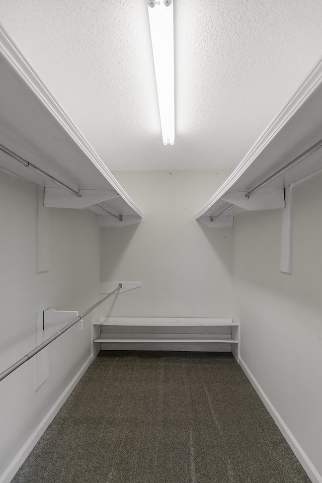 351 Hayborn Rd, Webb, AL 36376 - walk in closet featuring carpet