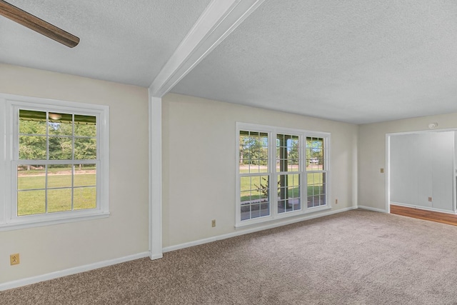 351 Hayborn Rd, Webb, AL 36376 - empty room featuring a textured ceiling and carpet floors