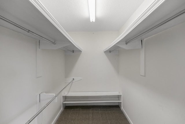 351 Hayborn Rd, Webb, AL 36376 - walk in closet featuring carpet floors