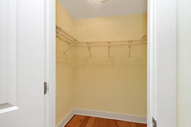 spacious closet featuring wood finished floors