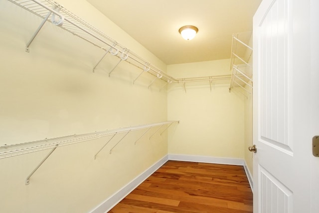 walk in closet featuring wood finished floors