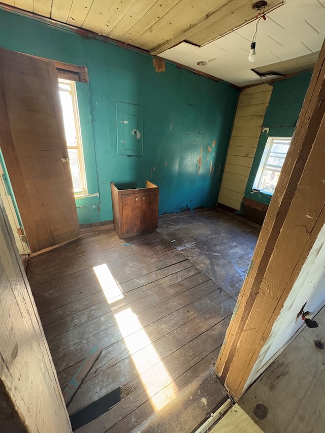 interior space featuring hardwood / wood-style flooring and electric panel