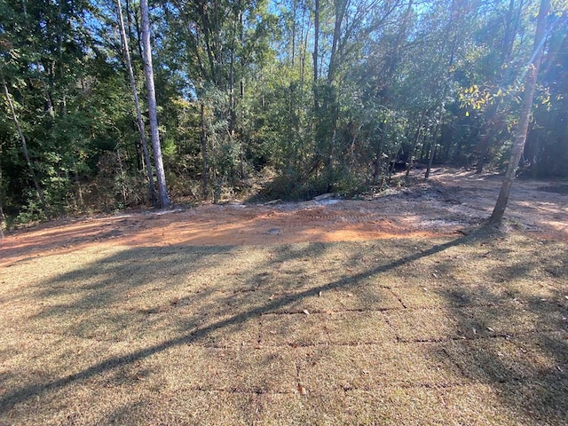 916 County Rd 60, Skipperville, AL 36374 - photo 3