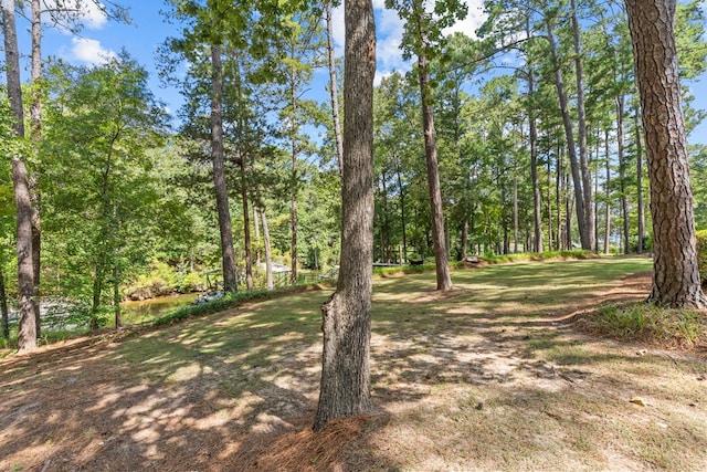 1885 Otho Rd, Abbeville, AL 36310 - photo 10