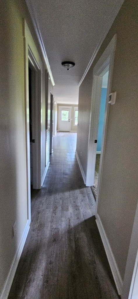 hall with crown molding, dark wood-type flooring, and a textured ceiling