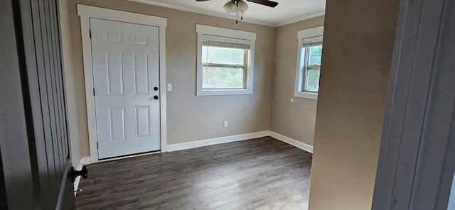 foyer entrance with ceiling fan, ornamental molding, and dark hardwood / wood-style floors