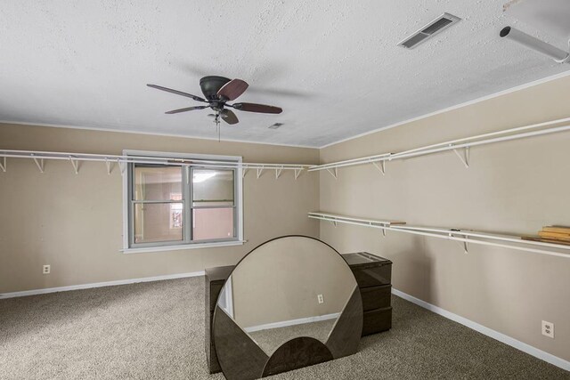 1935 Denton Rd, Dothan, AL 36303 - photo 29