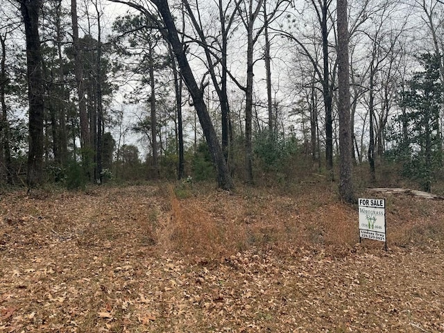 LOTS59 Plantation Blvd, Georgetown GA, 39854 land for sale