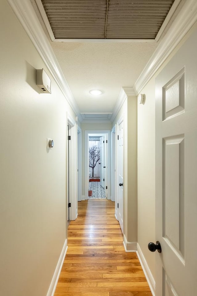 hallway with light hardwood / wood-style floors and crown molding