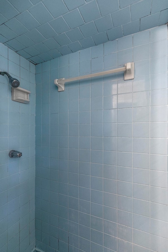 details with tiled shower