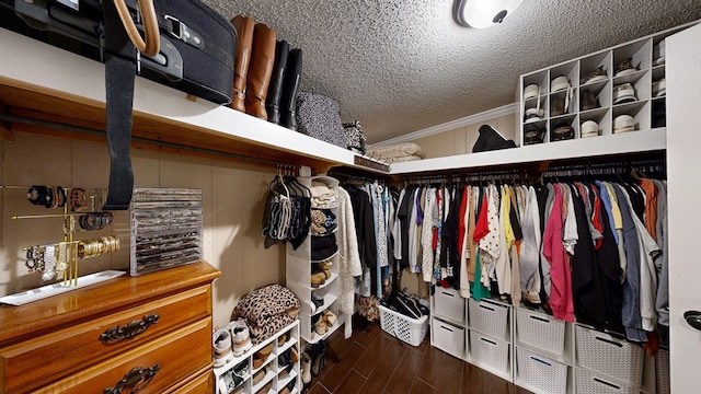 walk in closet featuring hardwood / wood-style floors