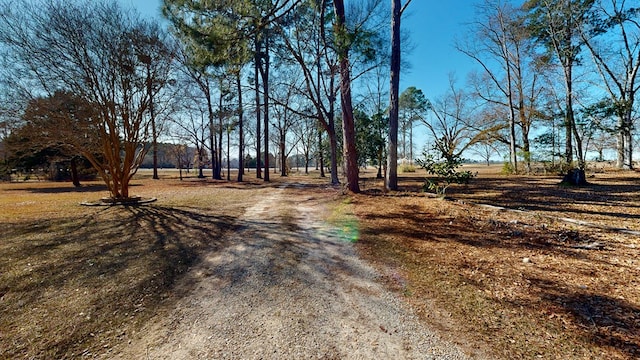 view of road