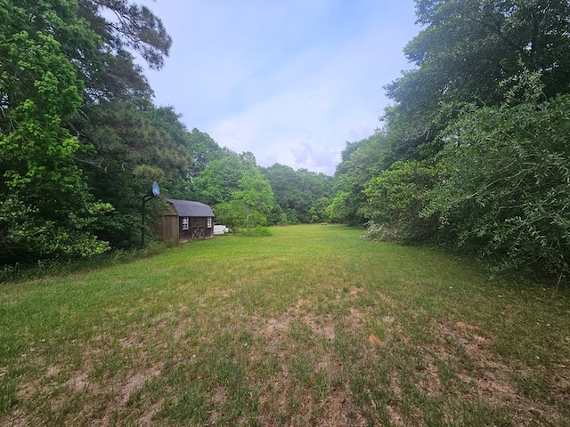 view of yard with a wooded view and an outbuilding