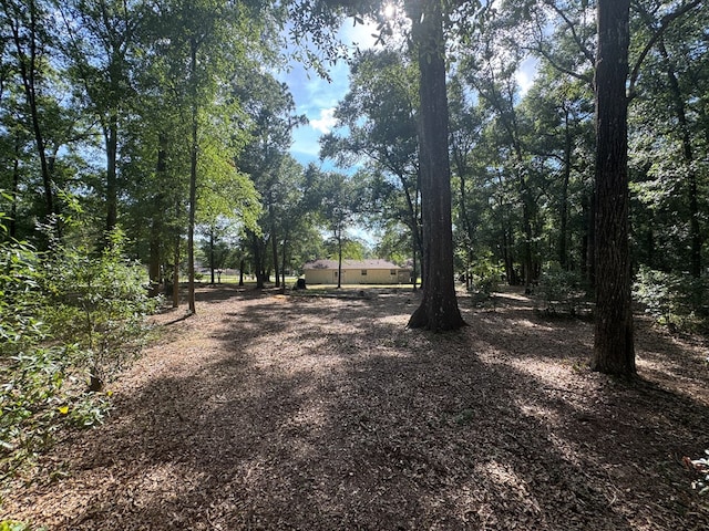 471 Faith St, Enterprise, AL 36330 - view of dirt / gravel road