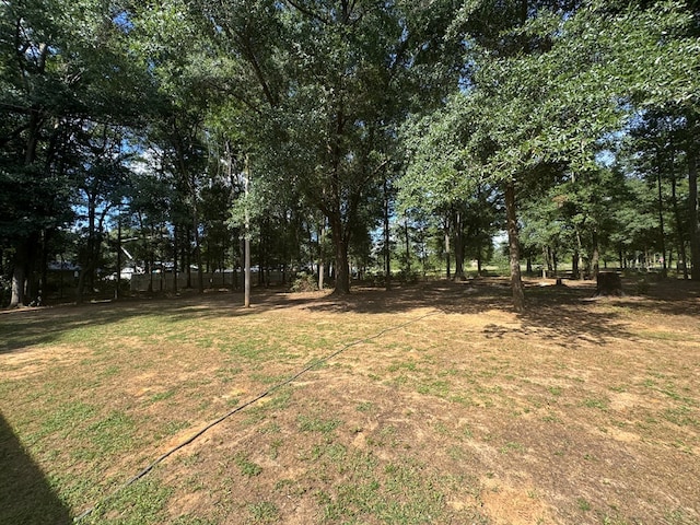 471 Faith St, Enterprise, AL 36330 - view of green lawn featuring view of scattered trees